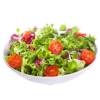 NOS SALADES